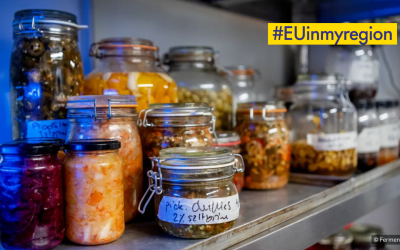#EUinmyregion and Be-HERE: Discover Fermenthings’ Workshops
